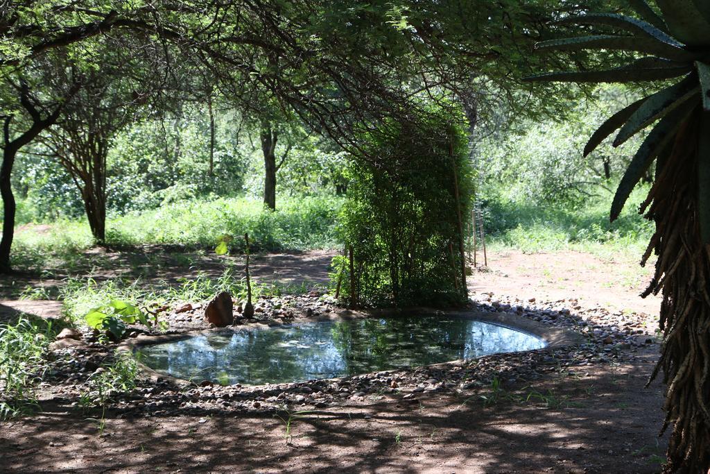 Villa Zazu Marloth Park Kültér fotó