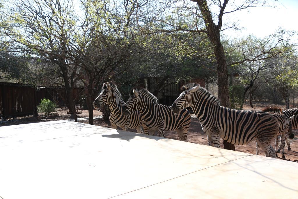 Villa Zazu Marloth Park Kültér fotó