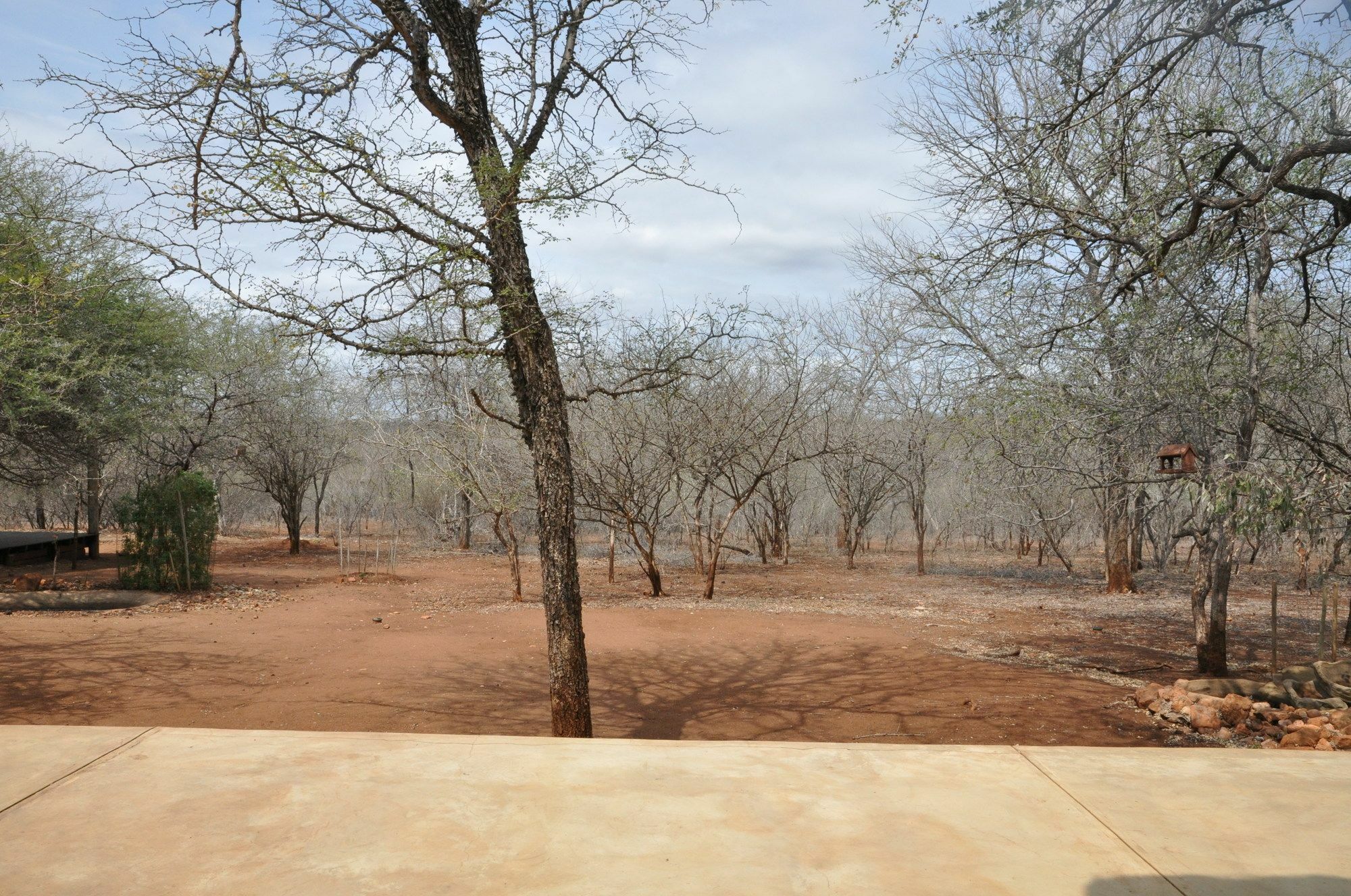 Villa Zazu Marloth Park Kültér fotó